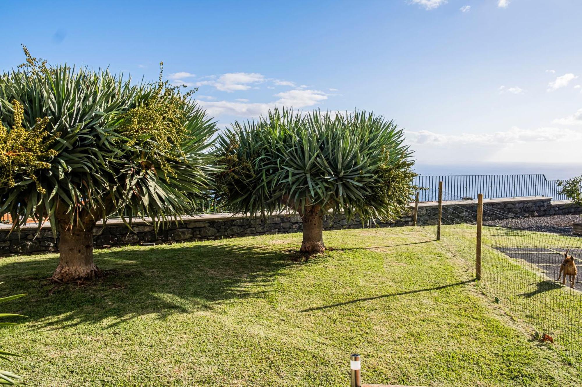 Apartamento Namaste House II Funchal  Exterior foto